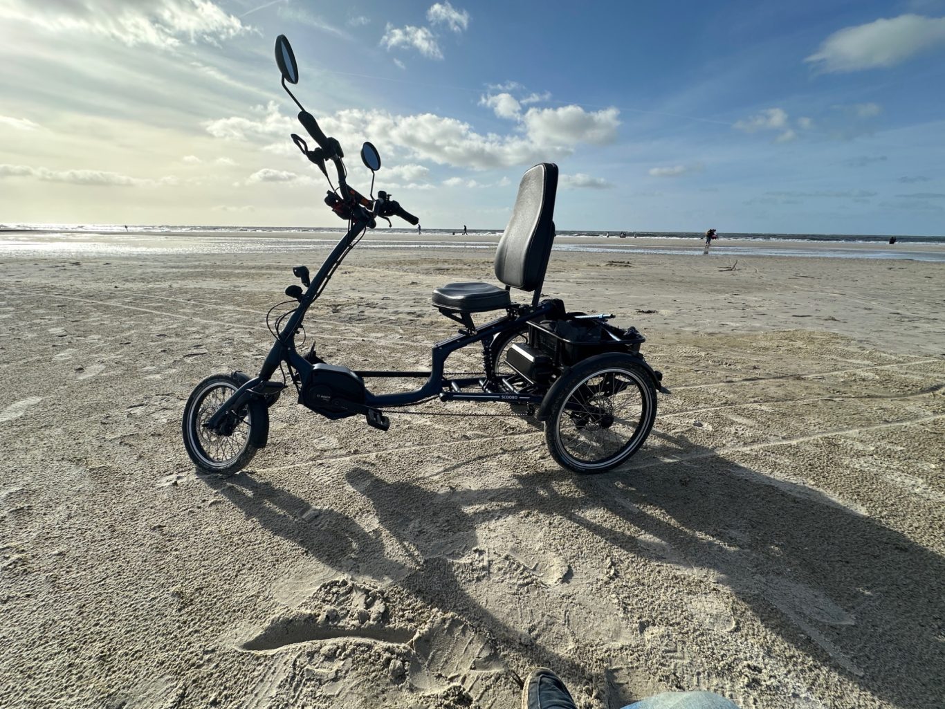 Scoobo auf Amrum